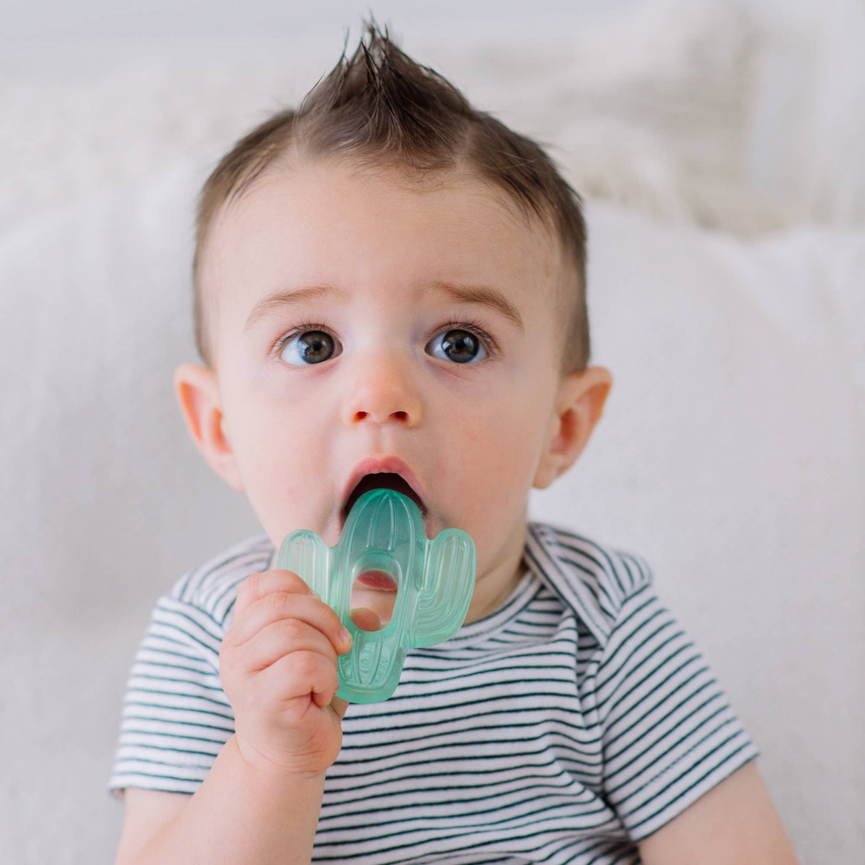Cutie Coolers Water Filled Teethers - Dino