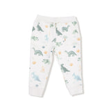 Zip Up Hoodie and Joggers - Soft Dinos