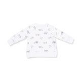 Raglan Sweatshirt - Vintage Airplane Pilots