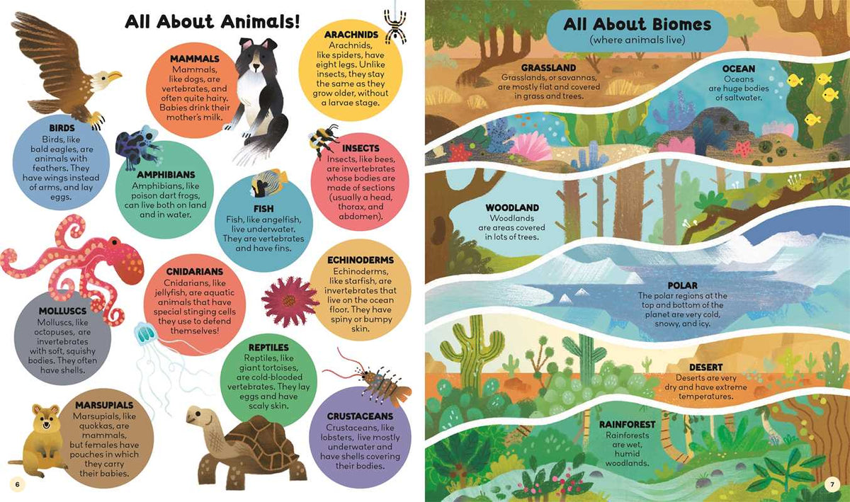 Curiosity Club - Animals