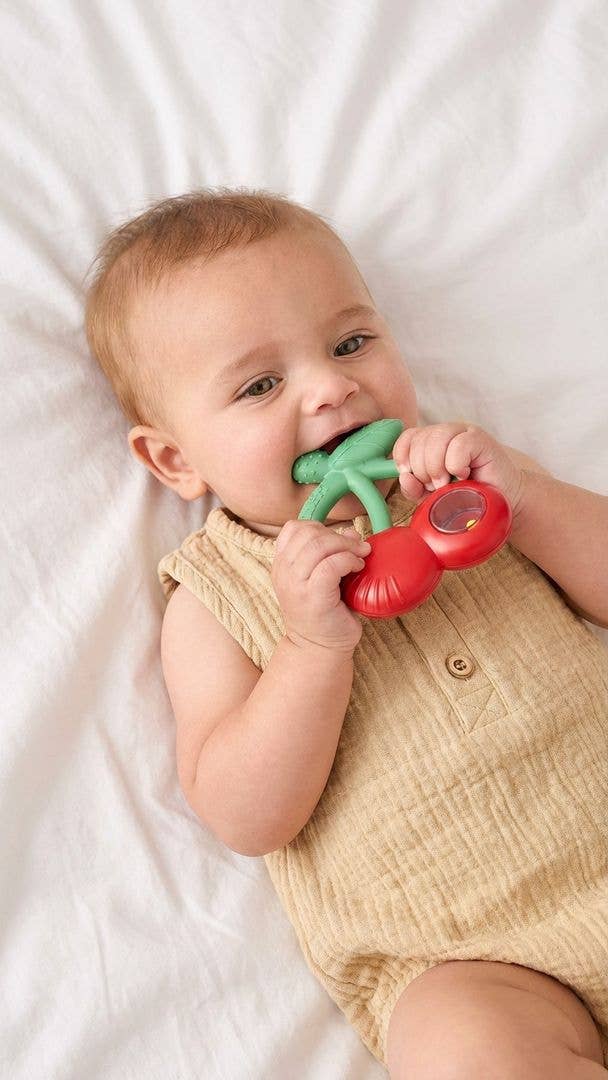 Bitzy Shake Teether Rattle - Goose
