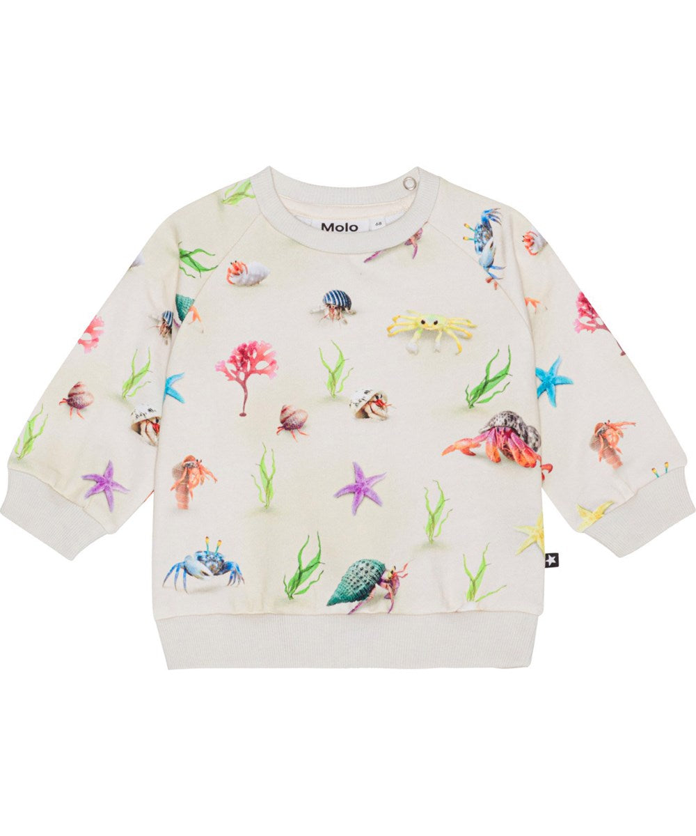 Molo Disc Pullover - Hermit Crab FINAL SALE