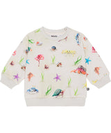 Molo Disc Pullover - Hermit Crab FINAL SALE