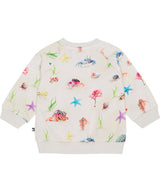Molo Disc Pullover - Hermit Crab FINAL SALE