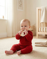 Bitzy Shake Teether Rattle - Goose