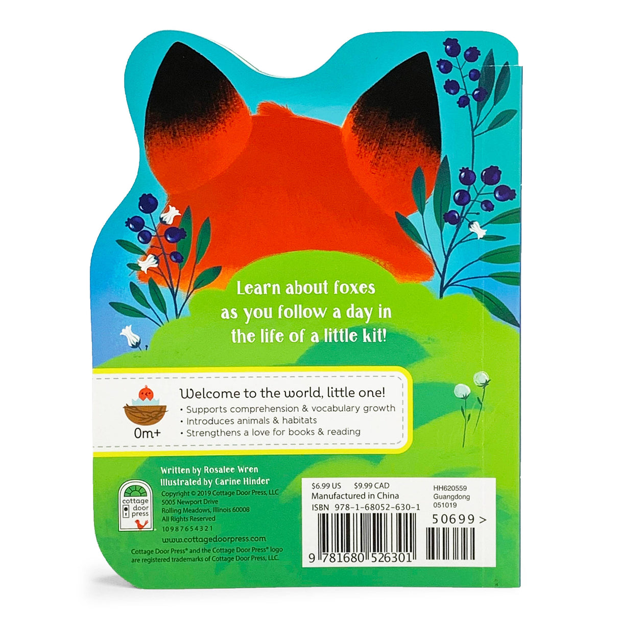 A Little Fox