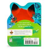 A Little Fox
