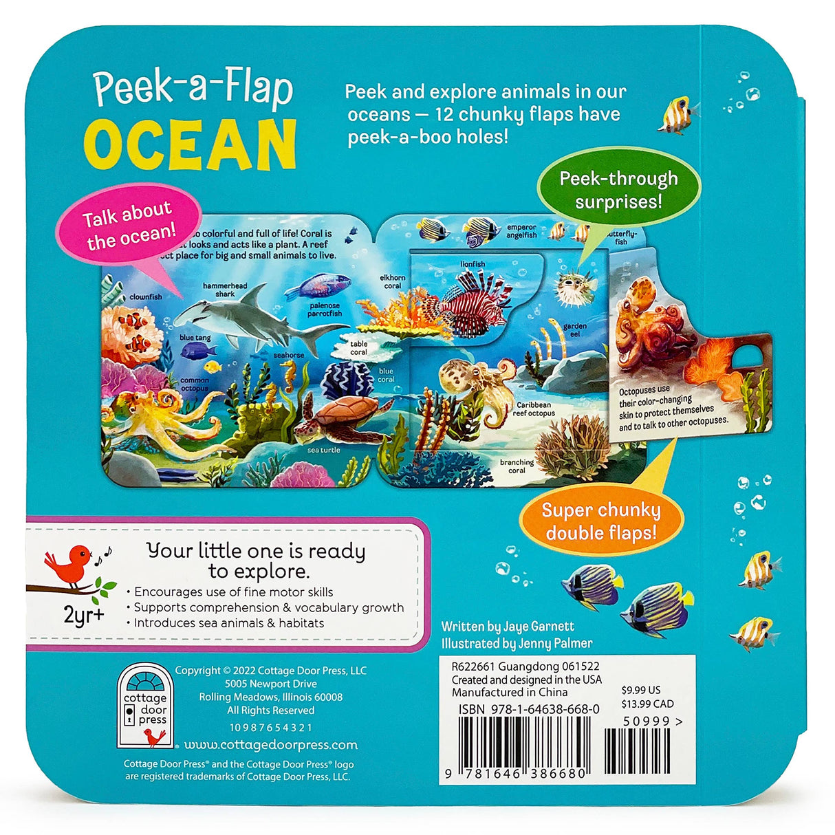 Peek-A-Flap: Ocean
