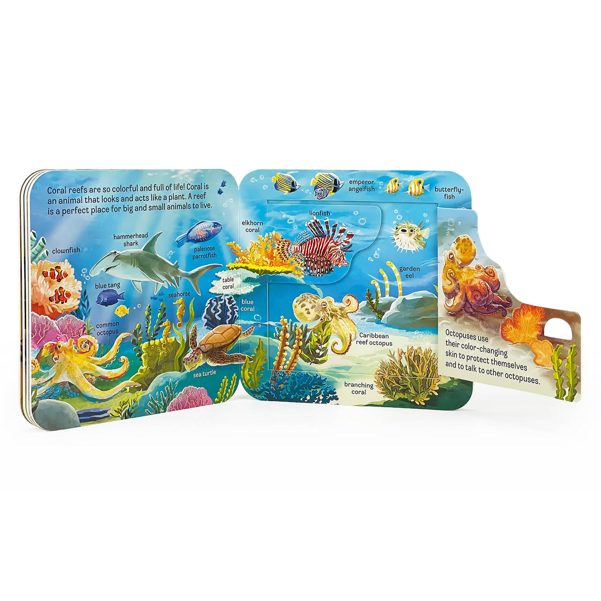 Peek-A-Flap: Ocean