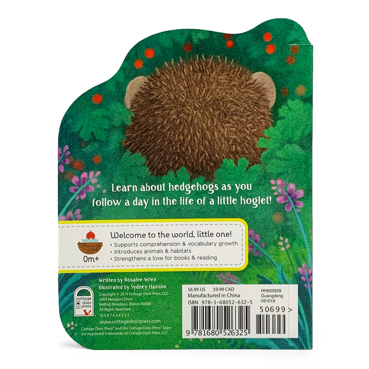 A Little Hedgehog