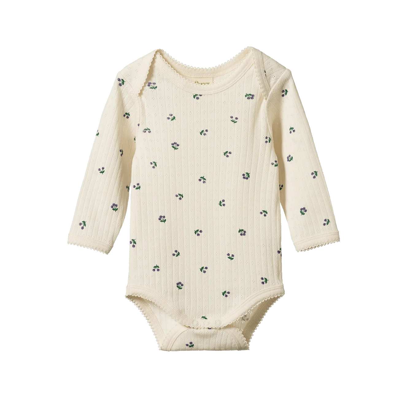 Pointelle Bodysuit - Winter Berry