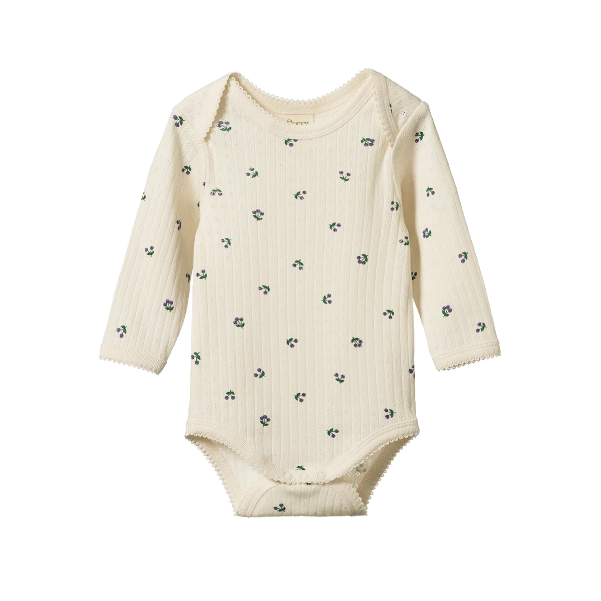 Pointelle Bodysuit - Winter Berry