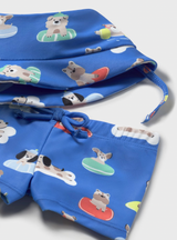 Swim Set - Dog