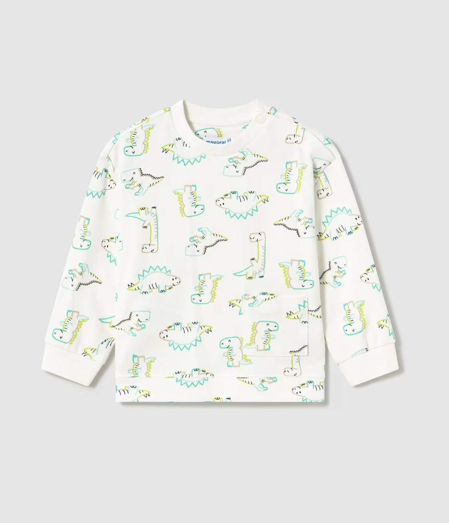 Graphic Pullover - Dinosaurs