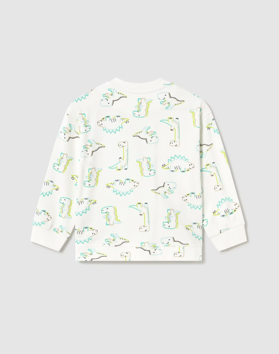 Graphic Pullover - Dinosaurs
