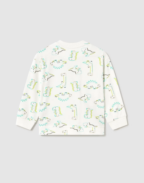 Graphic Pullover - Dinosaurs