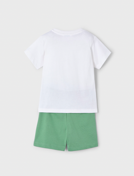 Graphic Tee and Shorts - Sea Turtle