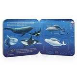 Peek-A-Flap: Ocean
