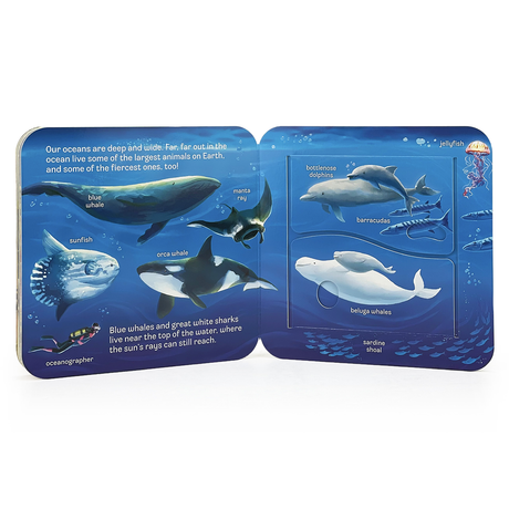 Peek-A-Flap: Ocean