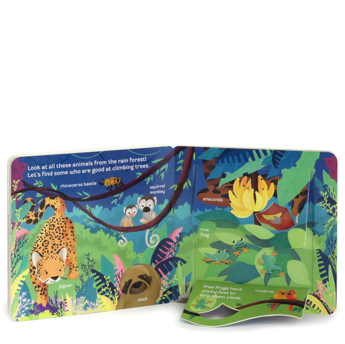 Peek-A-Flap: Zoo