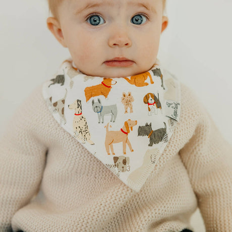 Baby Bandana Bibs - Rufus