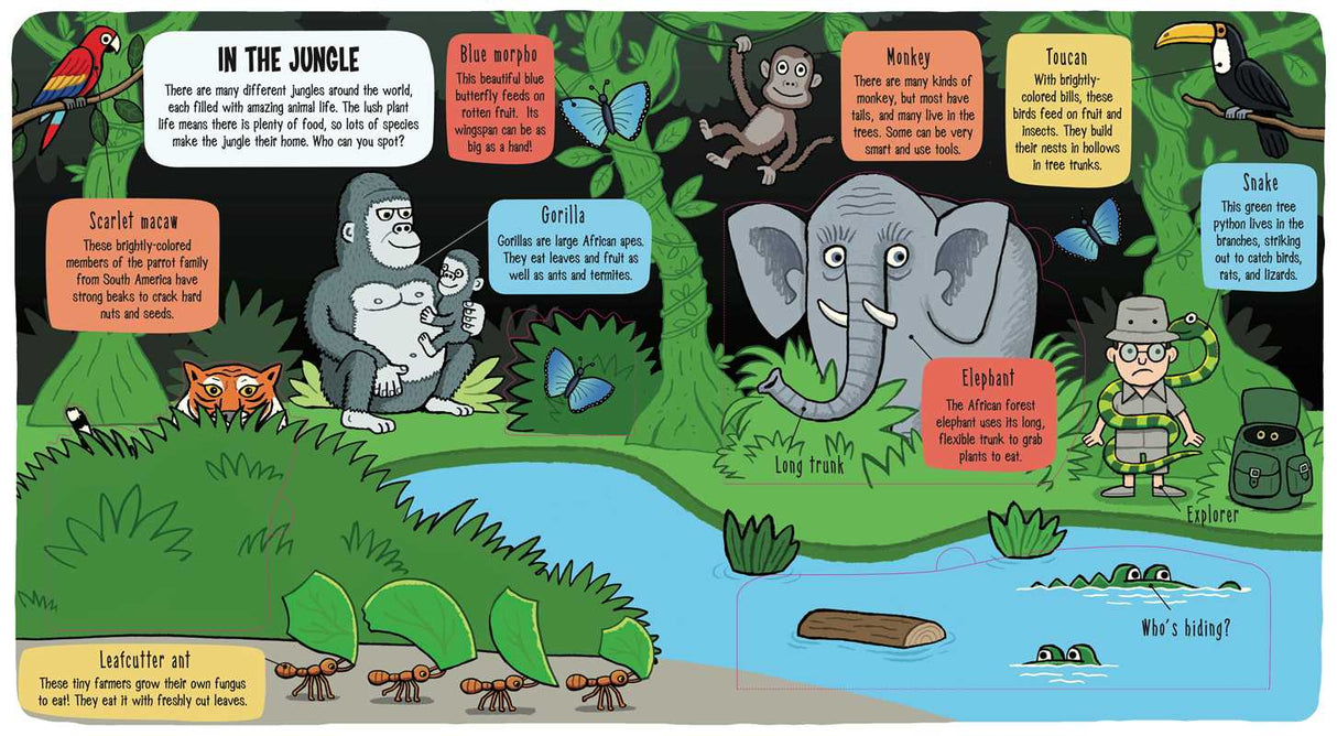 Little Explorers: The Animal World