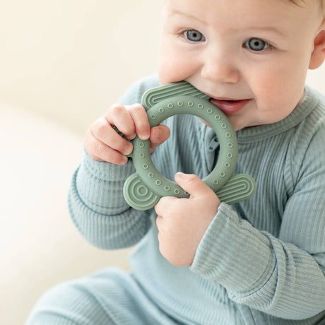 Rattle Buddy - Frog