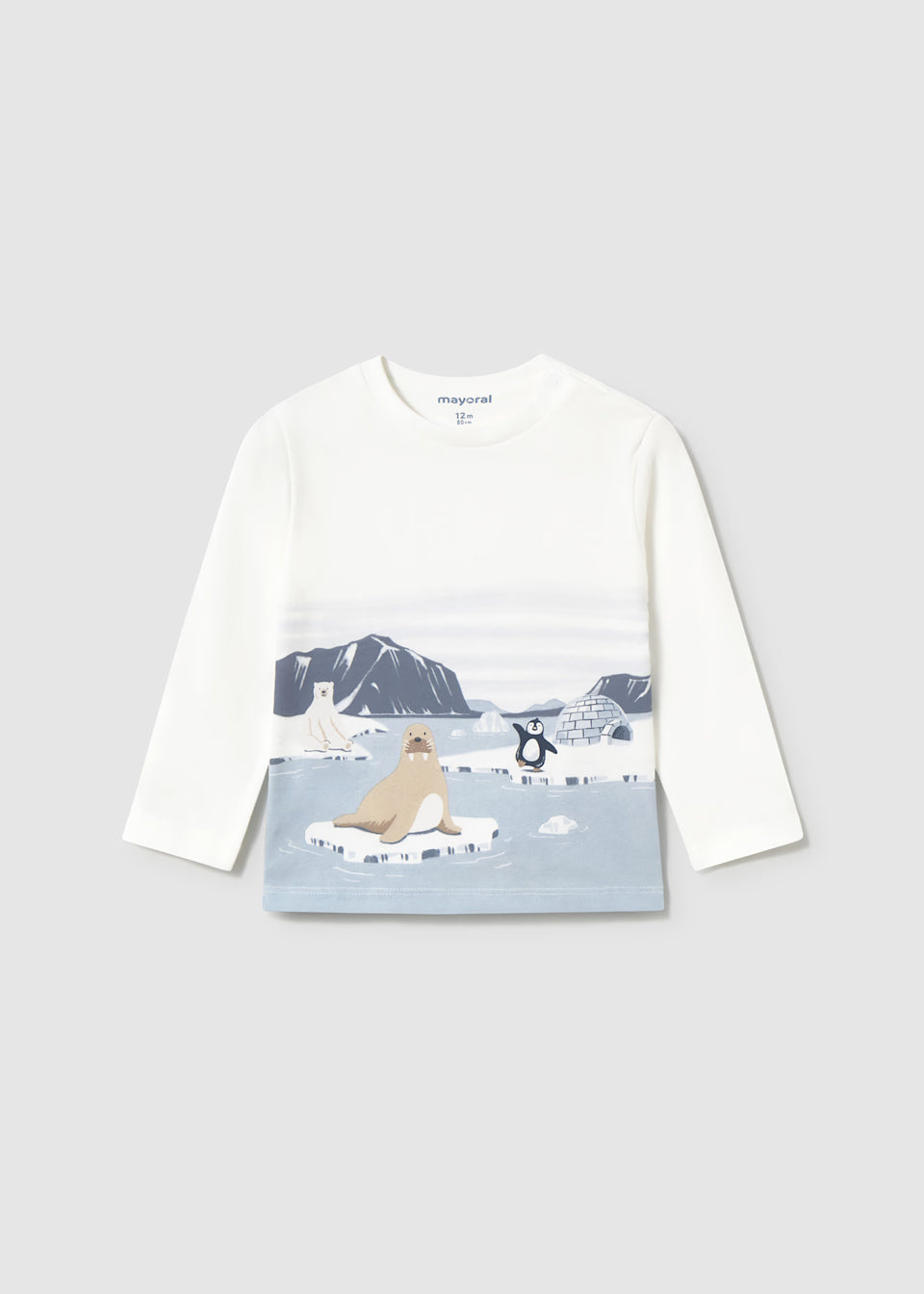 Graphic Tee - Arctic Scene