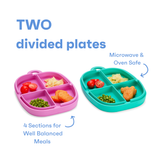 The Everything Plate - Blueberry