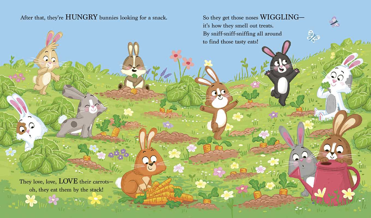 Bouncing Bunnies!