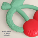 Bitzy Shake Teether Rattle - Goose