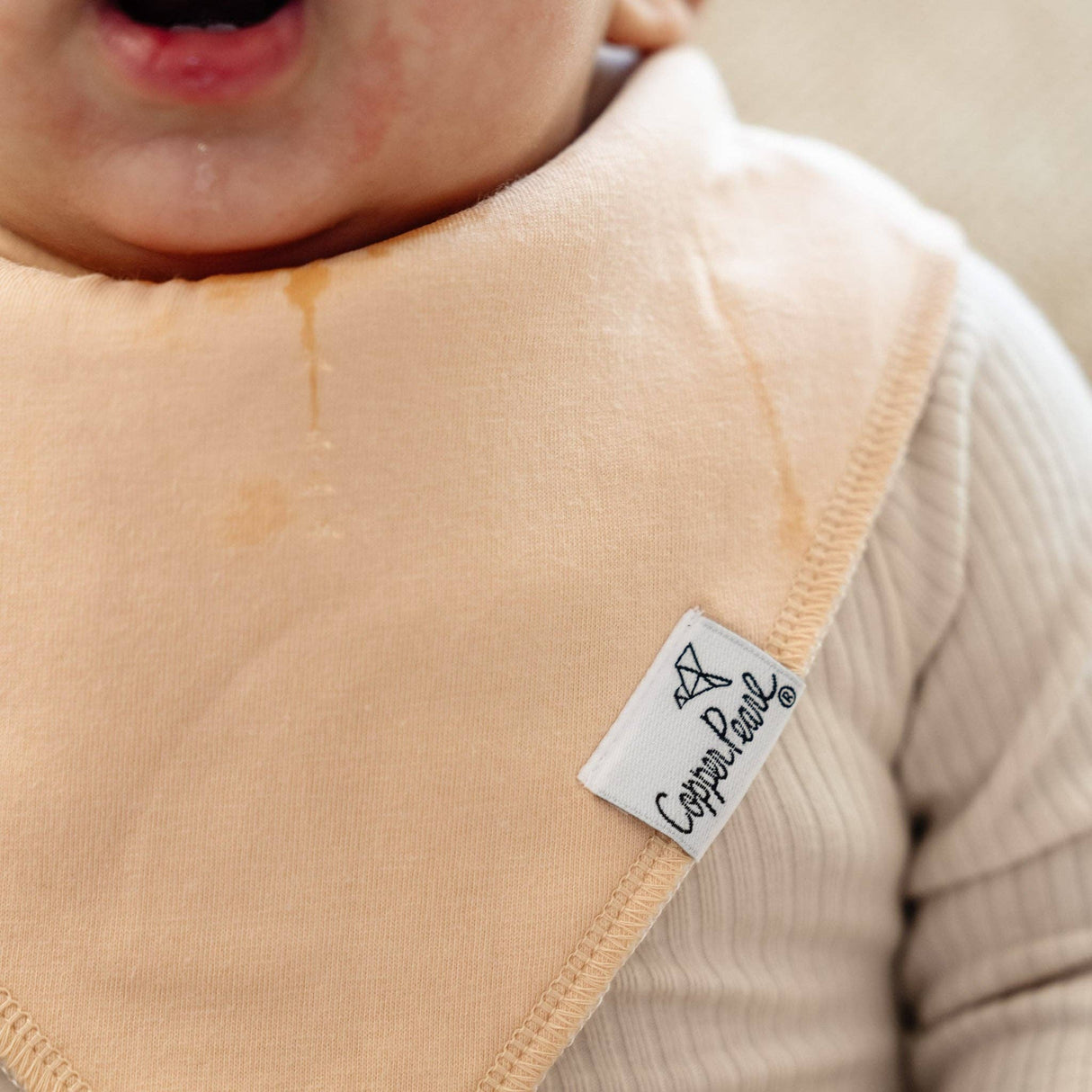 Baby Bandana Bibs - Ryder