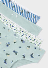 4-Pack of Undies - Anise