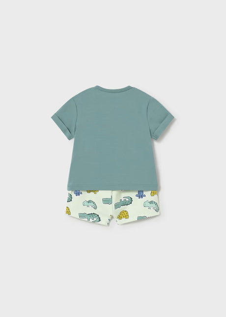 Short Sleeve Tee and Shorts - Frog