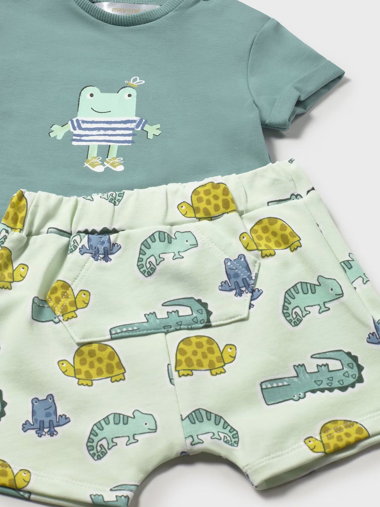 Short Sleeve Tee and Shorts - Frog