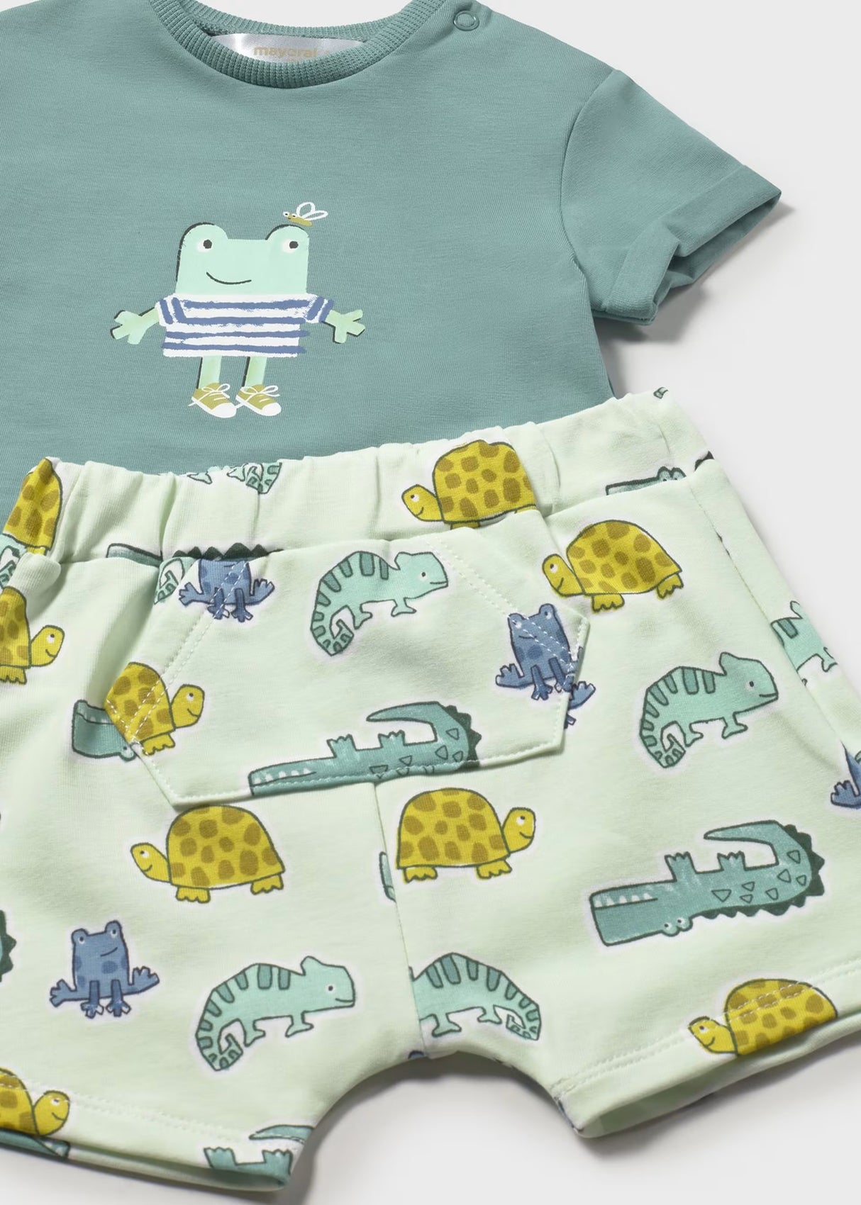 Short Sleeve Tee and Shorts - Frog