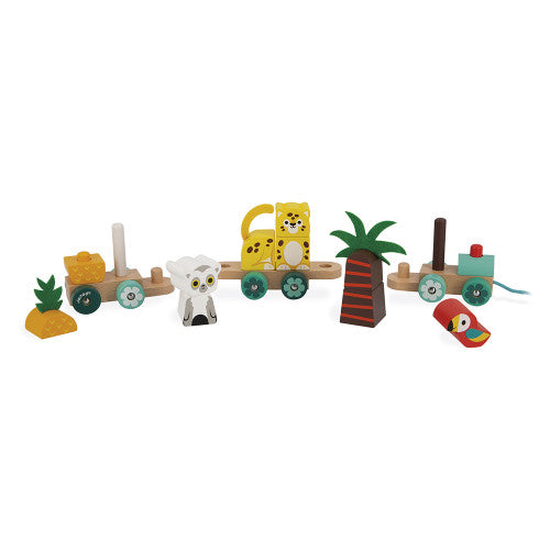 Pull Along Tropical Train