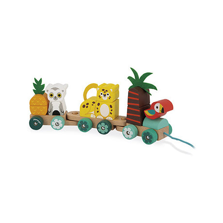 Pull Along Tropical Train