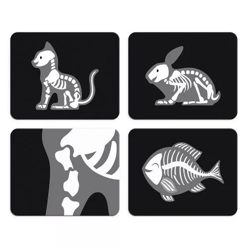 Veterinary Suitcase