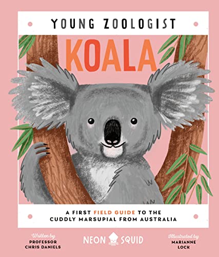 Young Zoologist - Koala FINAL SALE